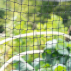 Harrier Walk-In Fruit & Veg Garden Cage