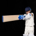 FORTRESS Kashmir Willow Cricket Bat [2 Grades]