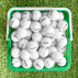 FORB Driving Range Golf Balls [Premium 1 & 2 Piece]
