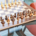 Harrier 2-in-1 Giant Chess and Checkers Set │ Net World Sports