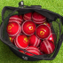 Carry Bag For Sports Balls | Net World Sports