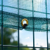 Tennis Court Windbreaks & Privacy Screens | Net World Sports