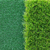 Fringe Dual Turf Golf Hitting Mat