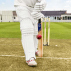Kashmir Willow Cricket Bat For Testing Technique | Net World Sports