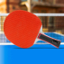 Vermont Portable Table Tennis Set | Net World Sports