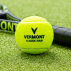 ITF Approved Match Tennis Balls | Tubes of 4 | Bulk Buy Available | Net World Sports