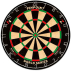 PINPOINT Professional Dartboard | Net World Sports