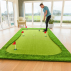 Large Indoor Putting Green
