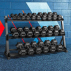 Dumbbell Rack Set With/Without Dumbbells | Net World Sports