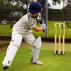 FORTRESS Spring Back Cricket Stumps | Net World Sports