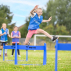 Blue Jumping Hurdle