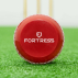 FORTRESS Technique Cricket Training Balls