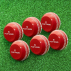 FORTRESS Technique Cricket Training Balls