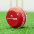 FORTRESS Technique Cricket Training Balls