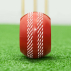 FORTRESS Technique Cricket Training Balls