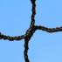 Golf Ball Stop Netting | Net World Sports