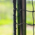 Baseball Batting Cage