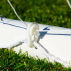 Easy To Assemble Goal Post | Net Clips