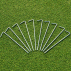 Cricket Net Pegs 