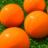 High Quality Garden & Backyard Cricket Balls | Net World Sports