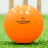 FORTRESS Cricket Wind Balls [Box of 6]