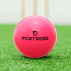 FORTRESS Reverse Swing Cricket Balls