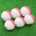 FORTRESS Reverse Swing Cricket Balls
