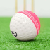 FORTRESS Reverse Swing Cricket Balls