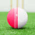 FORTRESS Reverse Swing Cricket Balls