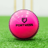 FORTRESS Cricket 'Incrediball' Practice Balls [Box of 6]