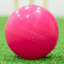 FORTRESS Cricket Wind Balls [Box of 6]