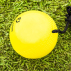 Plastic Cricket Balls On A String For Juniors | Net World Sports