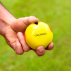 FORTRESS Cricket Coachaballs [Pack of 6] | Net World Sports