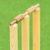 FORTRESS Spring Back Cricket Stumps | Net World Sports