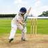 Professional Grade Wooden Cricket Stumps | Net World Sports
