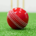FORTRESS Cricket 'Incrediball' Practice Balls [Box of 6]
