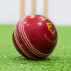 FORTRESS Match Crown Cricket Balls [Red/White/Pink]