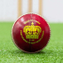 FORTRESS Match Crown Cricket Balls [Red/White/Pink]