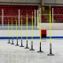 FORZA Ice Hockey Training Agility Spring Loaded Slalom Poles 