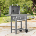 Harrier ARVO Charcoal BBQs
