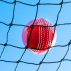 Stop That Ball™ Replacement Nets