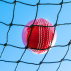 Garden Cricket Ball Nets 