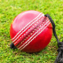 String Cricket Balls For Batting Practice | Net World Sports