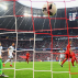 5mm Striped Stadium/Box Nets [3x Colour Options] | Net World Sports