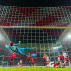 5mm Striped Stadium/Box Nets