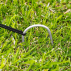 FORTRESS Batting Cage [20ft Extender Kit] | Net World Sports