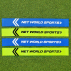 Tag Rugby Belts [10x Belts & 20x Tags] 