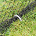 Harrier Fruit & Vegetable Cages | Net World Sports