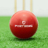 FORTRESS Reverse Swing Cricket Balls