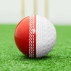 FORTRESS Reverse Swing Cricket Balls